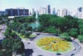 /album/galeria-de-fotos-sobre-nos/goianiarosaceadu8-jpg/